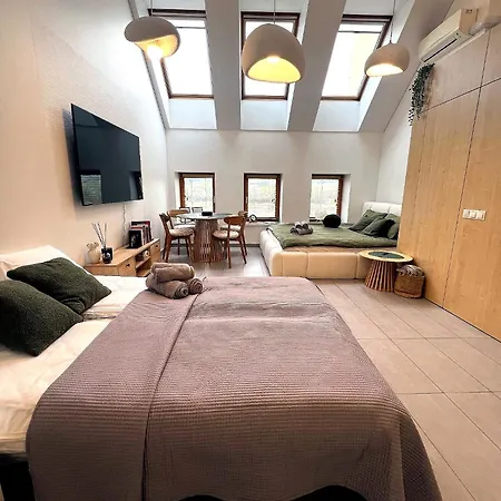 Apartament River I Near Nord Clinic & Zalgirio Arena Kowno